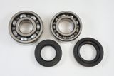 Suzuki Main Bearing Kit