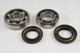 Suzuki Main Bearing Kit