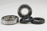 Suzuki Main Bearing Kit