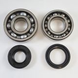 VIN-KMB017 RM125 1981 Main Bearing Kit