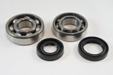 VIN-KMB017 RM125 1981 Main Bearing Kit