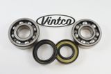 Yamaha Main Bearing Kit