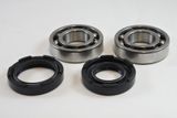 Yamaha Main Bearing Kit