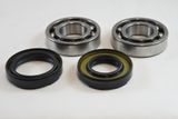 Yamaha Main Bearing Kit