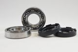 Yamaha Main Bearing Kit