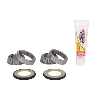 PivotWorks Steering Stem Bearing Kit - Honda