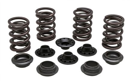 70-70400 Spring Kit, 0.460 Lift, Triumph, 650.