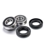 FL-FWK-G-001 FACT LINKS AJP PR5 250 ENDURO 2010-2012