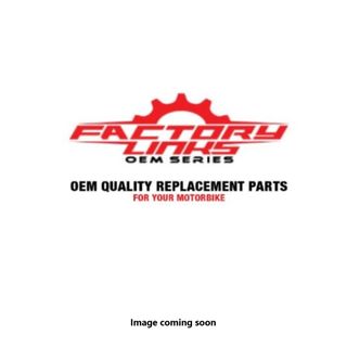 Factory Links 2 Ducati Desmo 450 MX 2025-2026