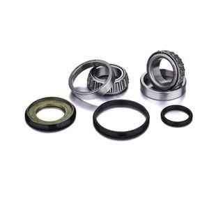 Factory Links 1 Beta RR 125 2T 2018-2024