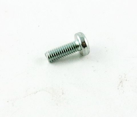 IBEA CARB FUEL STRAINER COVER RET SCREW