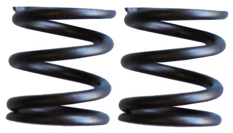 VALVE SPRING (PAIR) CLUBMAXX