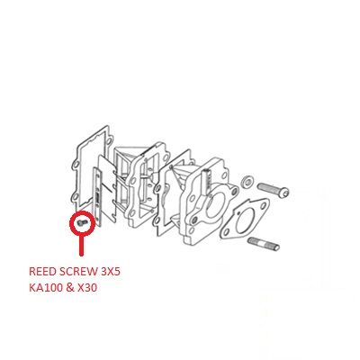 REED SCREW 3X5 KA100 X30