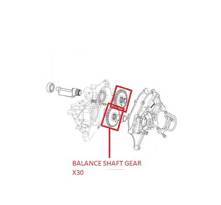 BALANCE SHAFT GEAR X30