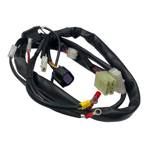 WIRING LOOM SELET X30 /BLACK STATOR PLUG