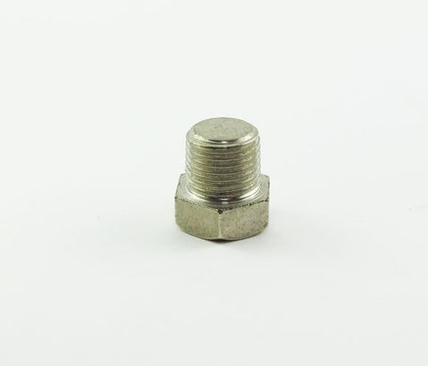 SEALING BOLT / TEMP GAUGE
