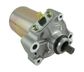 STARTER MOTOR ITALSPORT ROTAX X30