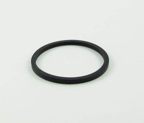 CALIPER DUST SEAL V05