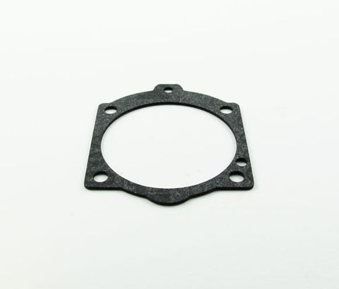 GASKET/METERING DIAPHRAGM