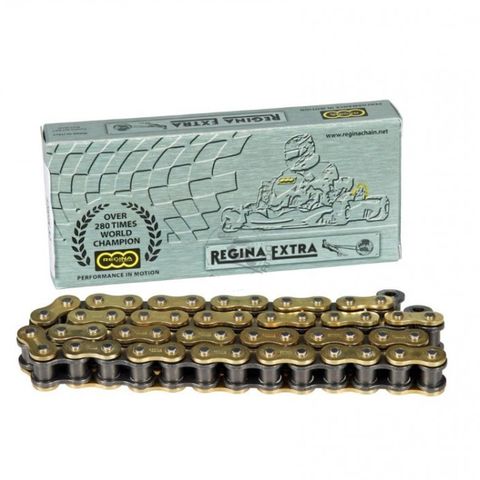 REGINA 428 CHAIN