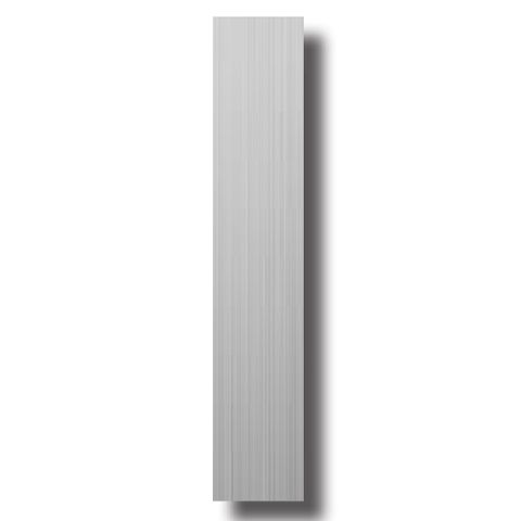 S/Steel BLANK PLATE - 250 x 36mm