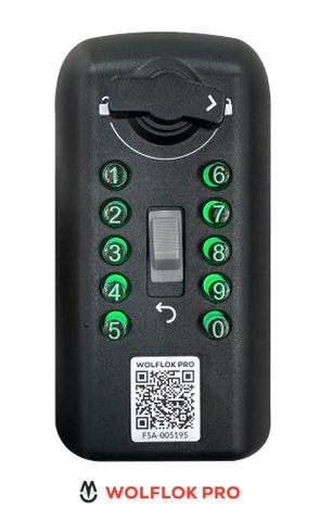 'WOLFLOK PRO'  - Maximum Security Key Safe