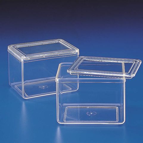 STAINING JAR - 2 LIDS (TPX)