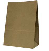 BAG PAPER SOS BR#20 250CTN