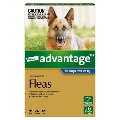 Advantage Extra Large Dog Blue >25kg (6)