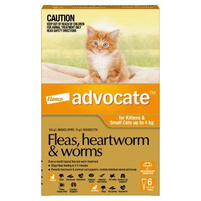 Advocate Small Cat <4kg 6pk Orange