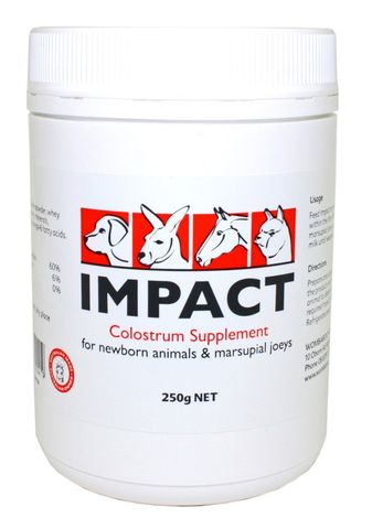 *Impact Colostrum 25g