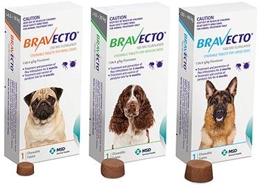 *Bravecto Small Dog ORANGE 4-10kg Single