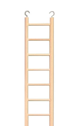LADDERS
