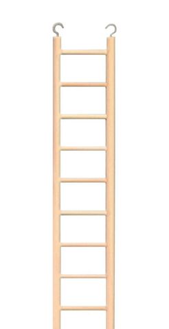 9 Step Wooden Ladder