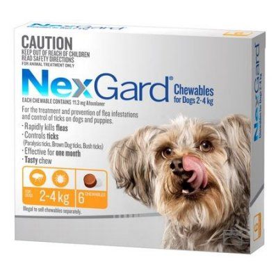 *NEXGARD Chews 2-4kg (6pk) Orange