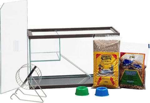 Glass Mouse House PURPLE