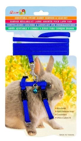 Carded Rabbit Harness Blue