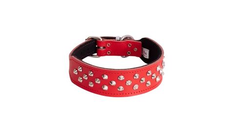 Staffy Collar Studded 55cm Red