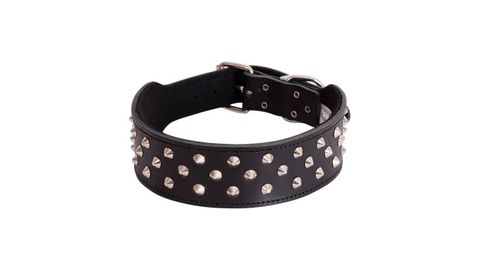 Staffy Collar Studded 60cm Black