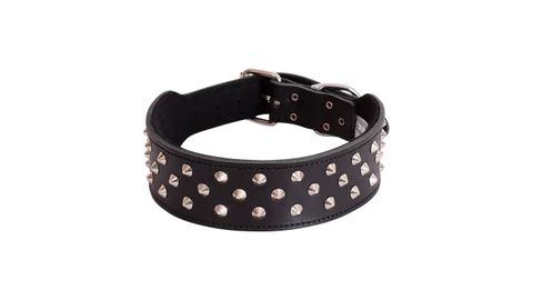 Staffy Collar Studded 65cm Black