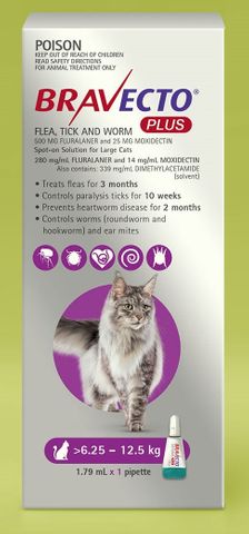 *BravectoPlus Cat PUR 6.25-12.5kg 1xTube
