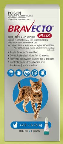 *Bravecto Plus Cat BLUE 2-6kg 1x tube