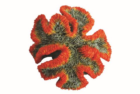 Red Coral Ornament HCL023