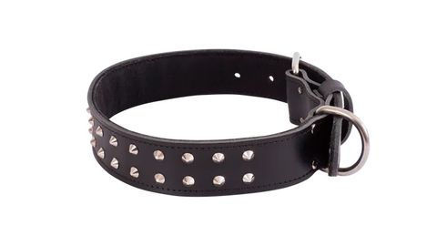 BULL MASTIFF COLLARS (SPECIAL ORDER)