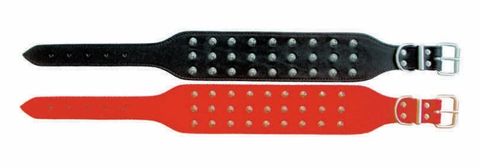 BULL TERRIER COLLAR (SPECIAL ORDER)