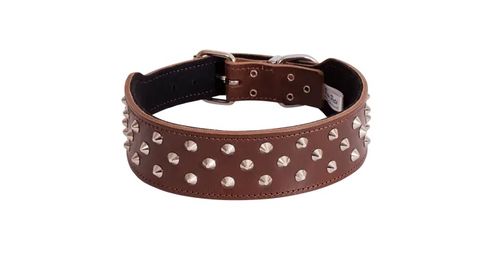 *Staffy Collar Studded 55cm Cognac