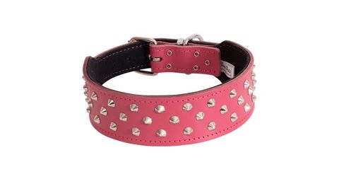 *Staffy Collar Studded 60cm Pink