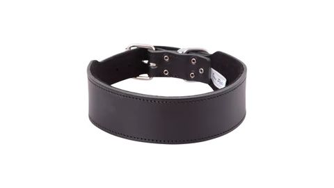 *Staffy Collar Plain 50cm Black