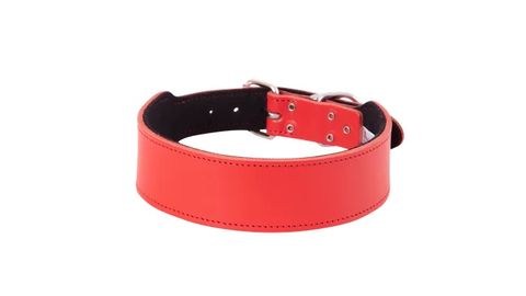 *Staffy Collar Plain 50cm Red