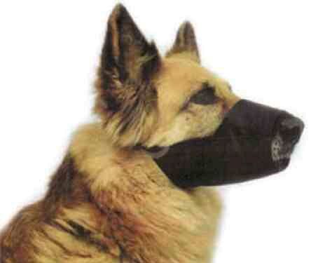 MUZZLES